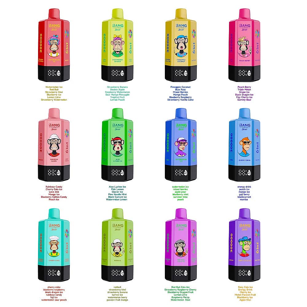 Bang Leader Stoll 300K 6-in-1 disposable vape lineup chart showing all device colors and multi-flavor options