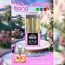 Bang 60K Refillable 2-in-1 vape with Peach Ice and Mango Peach flavors, 60000 puffs device with refill bottles
