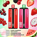Bang Box 160K disposable vape in Cherry Cranberry, Triple Berry, Strawberry Pitaya, and Watermelon Bubblegum flavors with high-puff rechargeable performance