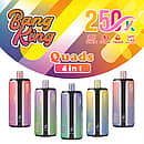 Bang King 250K Quads 4 in 1 disposable vape main picture with up to 250000 puffs, Type-C rechargeable 650mAh battery, 15ml x4 capacity, and 1.0&Omega; mesh coil