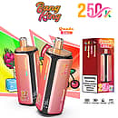 Bang King 250K Quads 4 in 1 disposable vape in Mojito, Monster Mango, Lady Killer, and Pink Lemonade flavors with product box packaging