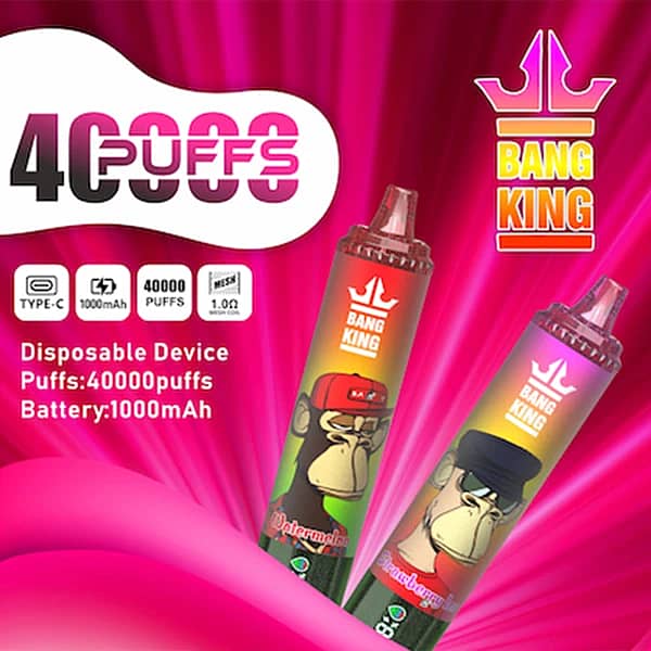 Bang King 40K disposable vape main picture with 40000 puffs, Type-C charging, 1000mAh battery, and 1.0&Omega; mesh coil technology