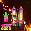 Bang King 40K disposable vape in Strawberry Ice flavor with 40000 puffs, Type-C charging, 1000mAh battery, and 1.0&Omega; mesh coil