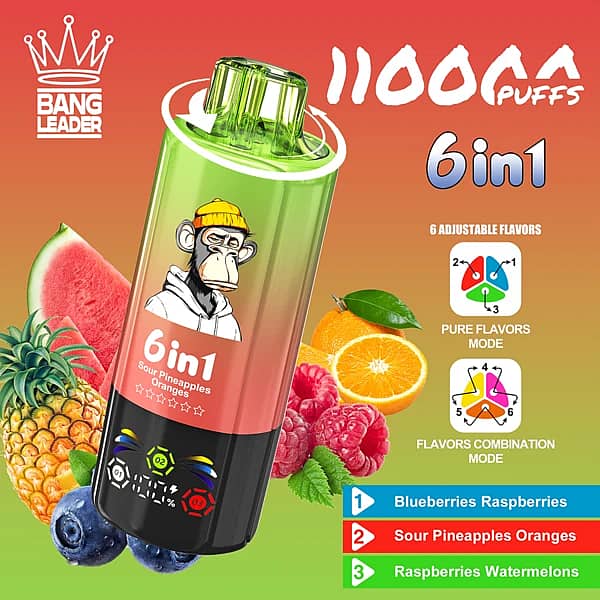 Bang Leader 110K 6 in 1 disposable vape in Blueberries Raspberries, Sour Pineapples Oranges, and Raspberries Watermelons flavors with 110000 puffs and adjustable flavor design