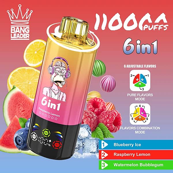 Bang Leader 110K 6 in 1 disposable vape in Blueberry Ice, Raspberry Lemon, and Watermelon Bubble Gum flavors with 110000 puffs and adjustable flavor design