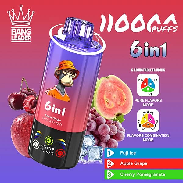 Bang Leader 110K 6 in 1 disposable vape in Fuji Ice, Apple Grape, and Cherry Pomegranate flavors with 110000 puffs and adjustable flavor design