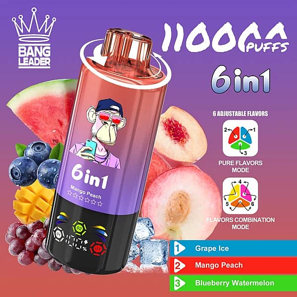 Bang Leader 110K 6 in 1 disposable vape in Grape Ice, Mango Peach, and Blueberry Watermelon flavors with 110000 puffs and adjustable flavor design