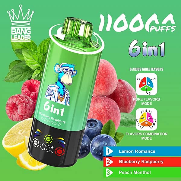 Bang Leader 110K 6 in 1 disposable vape in Lemon Romance, Blueberry Raspberry, and Peach Menthol flavors with 110000 puffs and adjustable flavor design