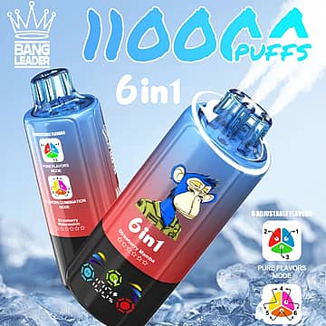 Bang Leader 110K 6 in 1 adjustable flavors disposable vape main picture with 110000 puffs, pure flavors mode, and flavor combination mode