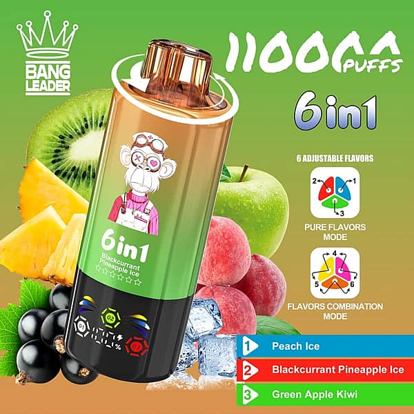 Bang Leader 110K 6 in 1 disposable vape in Peach Ice, Blackcurrant Pineapple Ice, and Green Apple Kiwi flavors with 110000 puffs and adjustable flavor design