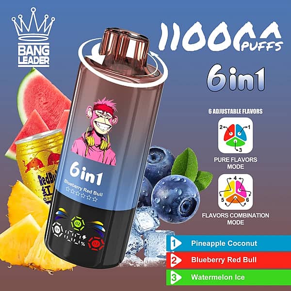 Bang Leader 110K 6 in 1 disposable vape in Pineapple Coconut, Blueberry Red Bull, and Watermelon Ice flavors with 110000 puffs and adjustable flavor design