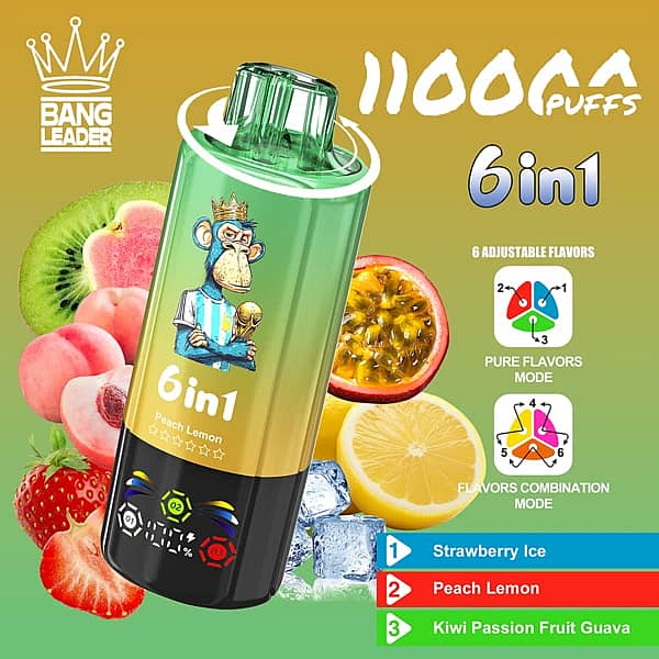 Bang Leader 110K 6 in 1 disposable vape in Strawberry Ice, Peach Lemon, and Kiwi Passion Fruit Guava flavors with 110000 puffs and adjustable flavor design