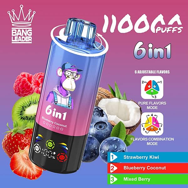 Bang Leader 110K 6 in 1 disposable vape in Strawberry Kiwi, Blueberry Coconut, and Mixed Berry flavors with 110000 puffs and adjustable flavor design