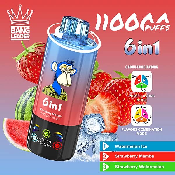 Bang Leader 110K 6 in 1 disposable vape in Watermelon Ice, Strawberry Mamba, and Strawberry Watermelon flavors with 110000 puffs and adjustable flavor design