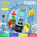 Bang Leader Stoll 350K 8 in 1 disposable vape in Strawberry Kiwi, Blueberry Mint, Sour Mango Pineapple, and Strawberry Watermelon Ice flavors with up to 350000 puffs, mesh coil, 650mAh battery, and Type-C charging