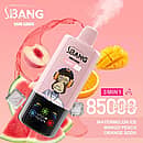 Bang Leader 85K 3 in 1 disposable vape in Watermelon Ice, Mango Peach, and Orange Soda flavors with 85000 puffs and adjustable flavor design