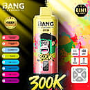 Bang Legend 300K 8 in 1 disposable vape in Strawberry Banana, Watermelon Berry, Blueberry Ice, and Fuji Ice flavors with screen display, mesh coil, 850mAh battery, and Type-C rechargeable design