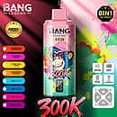 Bang Legend 300K 8 in 1 disposable vape in Watermelon Bubble Gum, Blueberry Peach, Honeydew Apple, and Strawberry Banana flavors with screen display, mesh coil, 850mAh battery, and Type-C rechargeable design