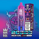 Bang Box 20K disposable vape in Grape Ice flavor with 20000 puffs, mesh coil, Type-C charging, and 850mAh battery