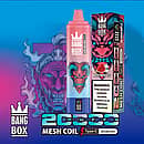 Bang Box 20K disposable vape in Watermelon Ice flavor with 20000 puffs, mesh coil, Type-C charging, and 850mAh battery
