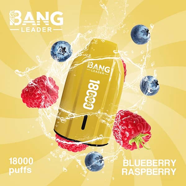 Bang Leader 18K disposable vape in Blueberry Raspberry flavor with 18000 puffs, compact portable design, and smooth all-day performance