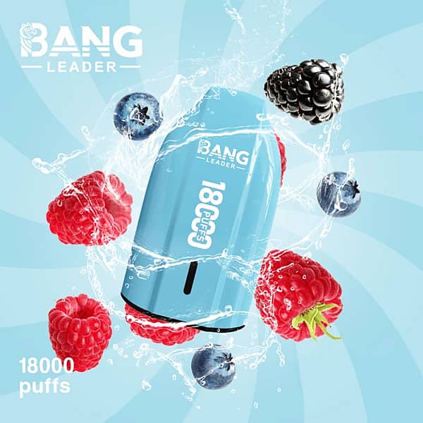 Bang Leader 18K disposable vape in Mixed Fruit flavor with 18000 puffs, compact portable design, and smooth all-day performance