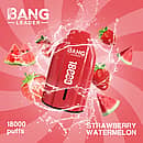 Bang Leader 18K disposable vape in Strawberry Watermelon flavor with 18000 puffs, compact portable design, and smooth all-day performance