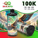 QQ Bang 100K disposable vape in Watermelon Ice flavor with 100000 puffs, Type-C charging, 650mAh battery, and dual mesh coil