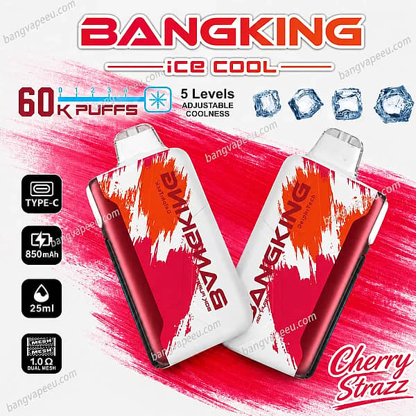 Bang King Ice Cool 60K Disposable Vape – Ultimate 60,000 Puffs Adjustable Coolness Vape - Image 14