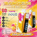 Bang King Ice Cool 60K Disposable Vape – Ultimate 60,000 Puffs Adjustable Coolness Vape