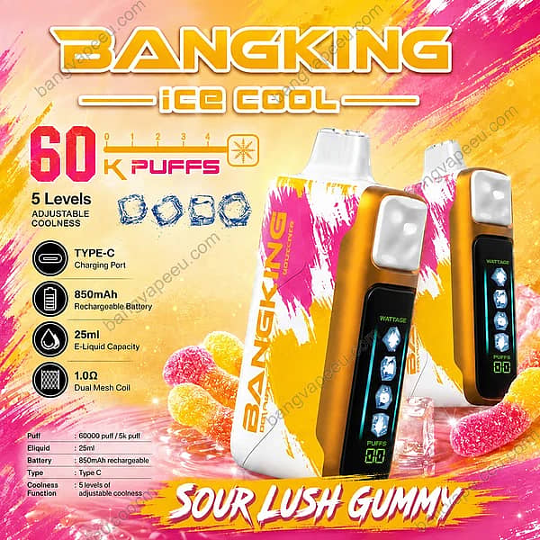 Bang King Ice Cool 60K Disposable Vape – Ultimate 60,000 Puffs Adjustable Coolness Vape - Image 9