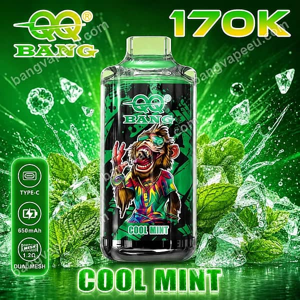 W=600,H=600,Fit=Scale Down,Gravity=Auto,Sharpen=1,Metadata=None,Format=Auto,Quality=70 Qq Bang 170K Cool Mint Disposable Vape Device Featuring A 650Mah Rechargeable Battery, Type-C Port, Dual Mesh Coil, And Refreshing Mint Leaves With Ice