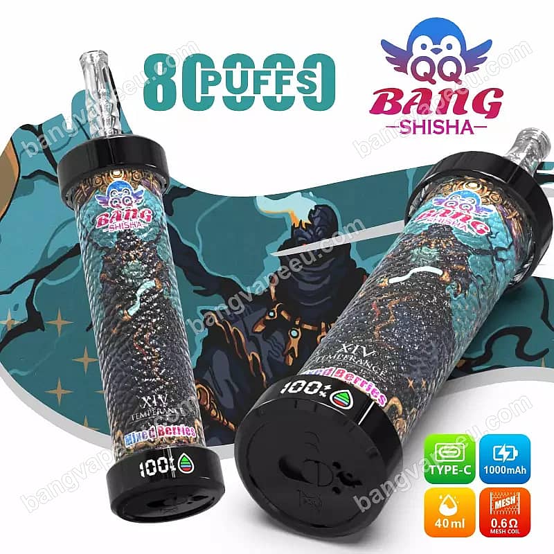 Qq Bang Shisha, vaporizador desechable de 80 000 caladas con sabor a frutos del bosque, que cuenta con una batería recargable de 1000 mAh con conector tipo C, una capacidad de 40 ml de e-líquido y una pantalla LED digital.