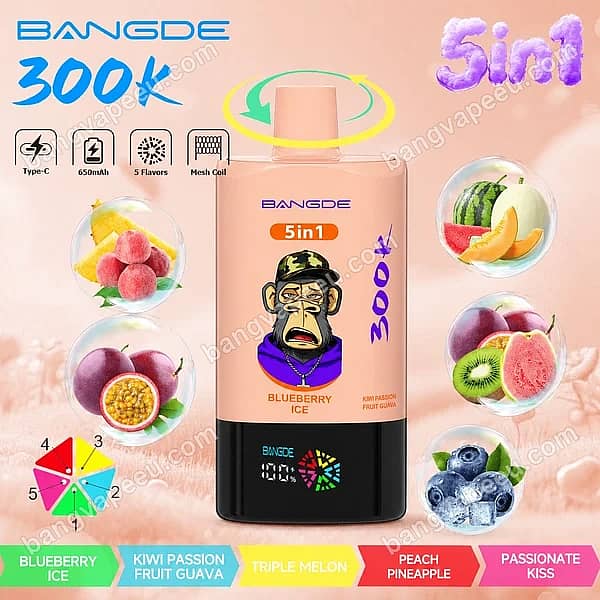 B=600,H=600,Anpassen=Verkleinern,Schwerkraft=Auto,Schärfen=1,Metadaten=Keine,Format=Auto,Qualität=70 Bang De 300K Blueberry Ice 5-in-1-Einweg-E-Zigarette mit fünf umschaltbaren Fruchtaromen, einem intelligenten LED-Display und einem wiederaufladbaren 650-mAh-Typ-C-Akku