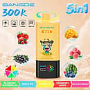 Bang De 300K Blueberry Watermelon 5-in-1-E-Zigarette mit wiederaufladbarem Akku und den Geschmacksrichtungen Peach Ice, Mango Ice, Cranberry Grape und Blackcurrant sowie einem digitalen Display