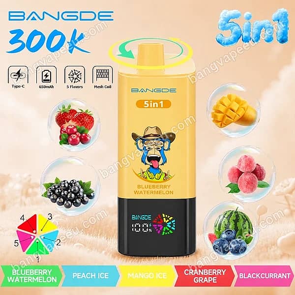 B=600,H=600,Anpassen=Verkleinern,Schwerkraft=Auto,Schärfen=1,Metadaten=Keine,Format=Auto,Qualität=70 Bang De 300K Blueberry Watermelon 5-in-1-E-Zigarette mit wiederaufladbarem Akku, mit den Geschmacksrichtungen Peach Ice, Mango Ice, Cranberry Grape und Blackcurrant sowie einem digitalen Display