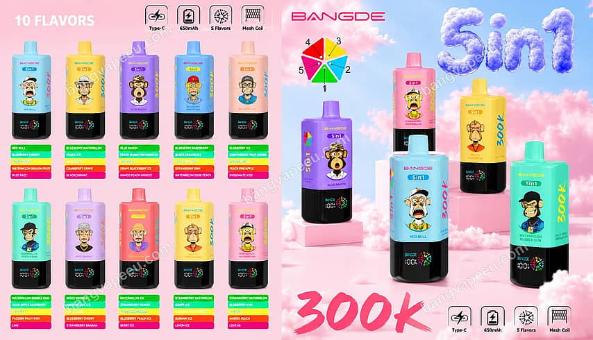 Bang De 300K – Beschreibung und Bild Die „Bang De 300K“-Reihe wiederaufladbarer Einweg-E-Zigaretten mit 5-in-1-Geschmacksvarianten, einem 650-mAh-Typ-C-Akku, Mesh-Spulen und zahlreichen Geschmacksoptionen