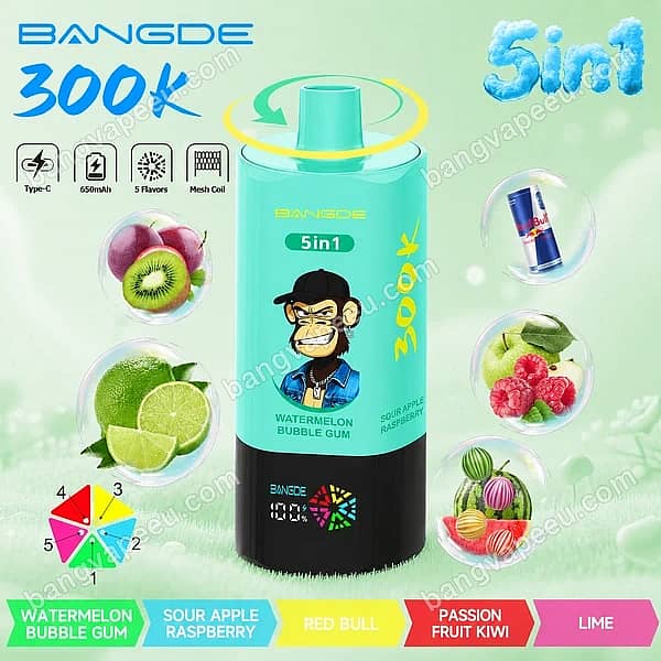 B=600,H=600,Anpassen=Verkleinern,Schwerkraft=Auto,Schärfen=1,Metadaten=Keine,Format=Auto,Qualität=70 Bang De 300K Watermelon Bubble Gum – wiederaufladbare 5-in-1-Einweg-E-Zigarette mit 5 Geschmacksrichtungen, digitalem Display, Mesh-Spule und Typ-C-Ladeanschluss