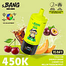 Bang Leader 450K 15-in-1 Flavors Disposable Vape – Ultimate 450,000 Puffs Rechargeable Adjustable Ice Vape