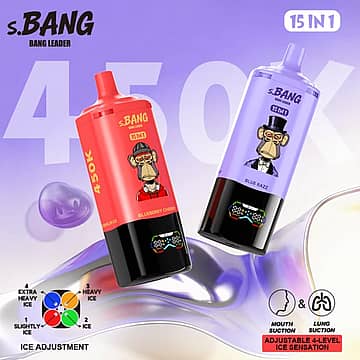 Bang Leader 450K 15-In-1 Flavors Disposable Vape