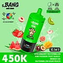 Bang Leader 450K 15-in-1 Flavors Disposable Vape – Ultimate 450,000 Puffs Rechargeable Adjustable Ice Vape