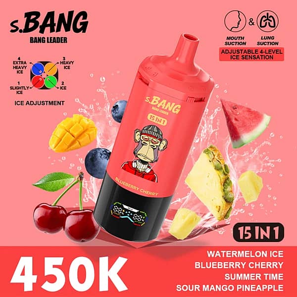 W=600,H=600,Fit=Scale Down,Gravity=Auto,Sharpen=1,Metadata=None,Format=Auto,Quality=70 Bang Leader 450K 15-In-1 Flavors Disposable Vape – Ultimate 450,000 Puffs Rechargeable Adjustable Ice Vape - Image 6