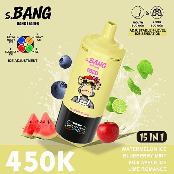 W=600,H=600,Fit=Scale Down,Gravity=Auto,Sharpen=1,Metadata=None,Format=Auto,Quality=70 Bang Leader 450K 15-In-1 Flavors Disposable Vape – Ultimate 450,000 Puffs Rechargeable Adjustable Ice Vape - Image 5