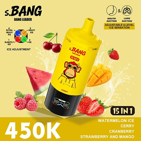 W=600,H=600,Fit=Scale Down,Gravity=Auto,Sharpen=1,Metadata=None,Format=Auto,Quality=70 Bang Leader 450K 15-In-1 Flavors Disposable Vape – Ultimate 450,000 Puffs Rechargeable Adjustable Ice Vape - Image 4