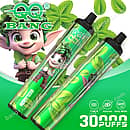 Qq Bang 30K Mint Ice disposable vape featuring 30000 puffs, a 650mAh Type-C rechargeable battery, dual mesh coil, and a green elf character design