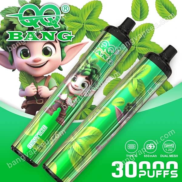 Qq Bang 30K Mint Ice Disposable Vape Featuring 30000 Puffs, A 650Mah Type-C Rechargeable Battery, Dual Mesh Coil, And A Green Elf Character Design