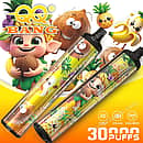 Qq Bang 30K Tropical Fruit disposable vape featuring 30,000 puffs, dual mesh coil, and 650mAh Type-C rechargeable battery